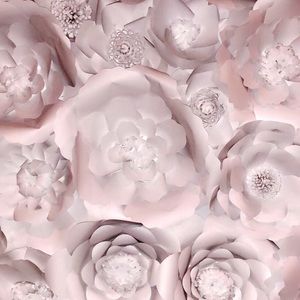 Meet your Posher, Sadie